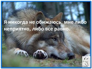 image (1)