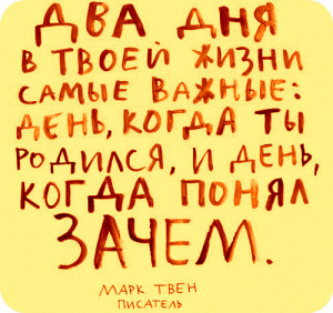 image (12)