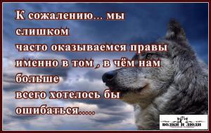 image (13)
