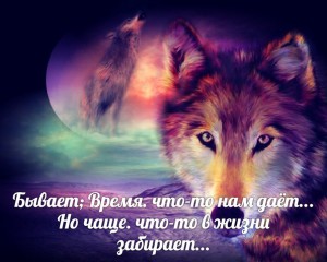 image (13)