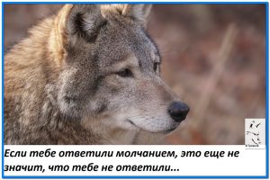 image (1)