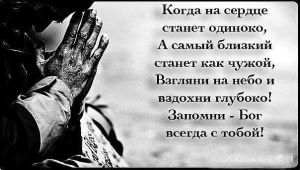 image (14)