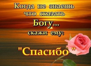 image (15)