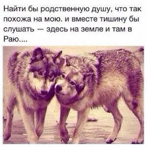 image (16)