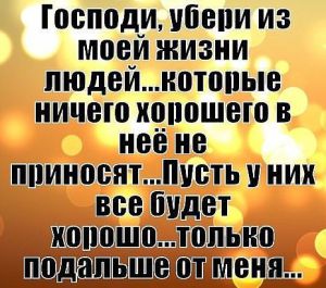 image (17)