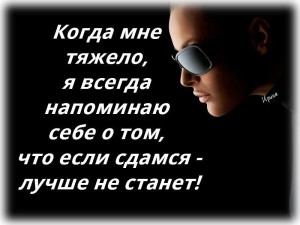 image (17)
