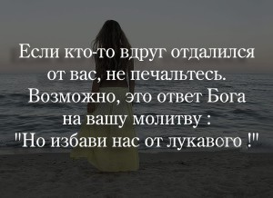 image (18)