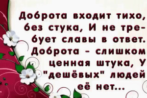 image (18)