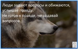 image (3)