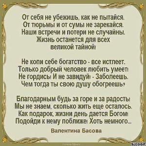 image (3)
