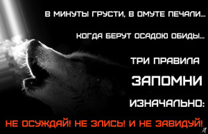 image (3)