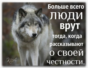 image (4)