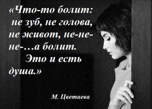 image (5)