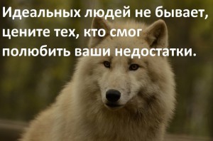 image (5)