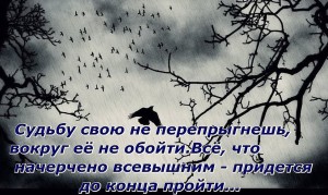 image (5)