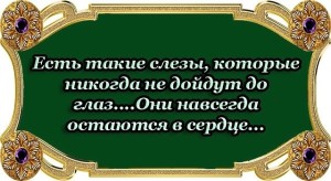 image (5)