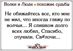 image (6)