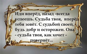 image (6)