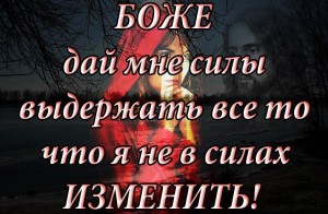 image (7)