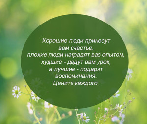 image (8)
