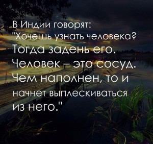 image (8)