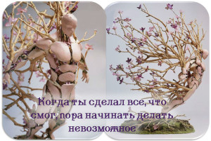 image (9)