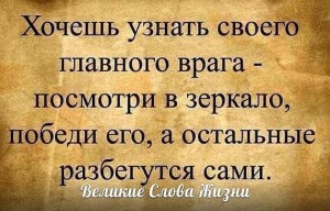 image (14)