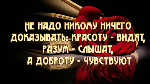 image (3)