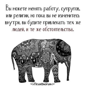 image (4)