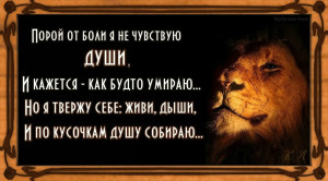 image (5)