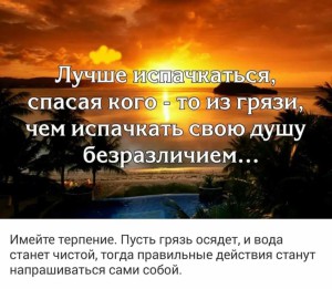 image (6)