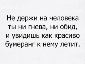 image (7)