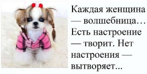 image (1)