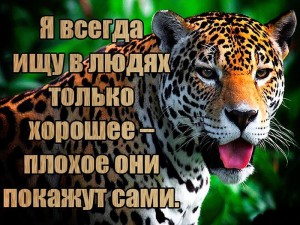 image (11)