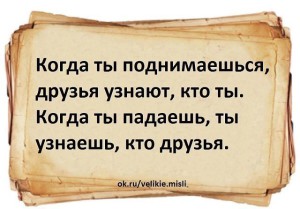 image (15)