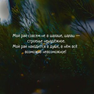 image (2)