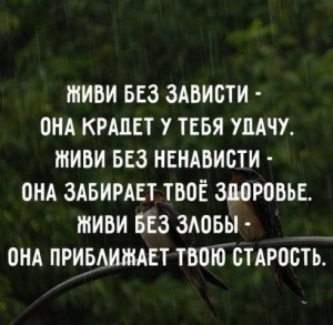image (5)
