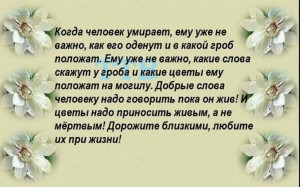 image (6)