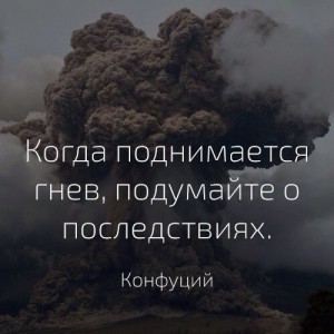 image (13)