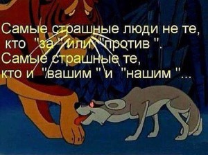 image (15)