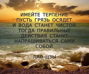 image (17)