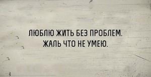 image (19)