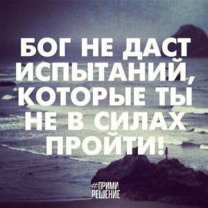 image (19)