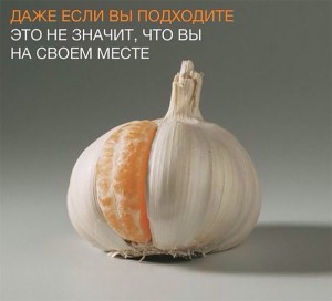 image (22)