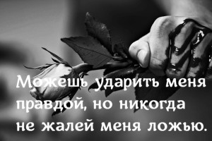image (28)