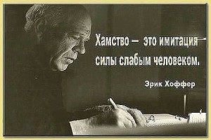 image (37)