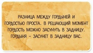 image (39)