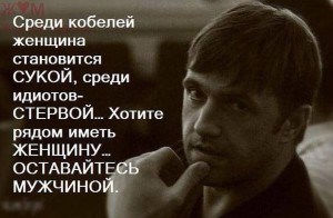 image (41)