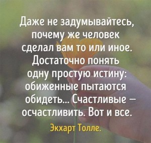 image (42)