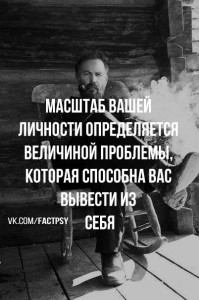 image (6)